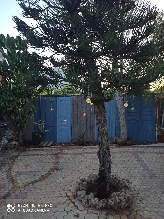 Vakantiehuis Cactus *