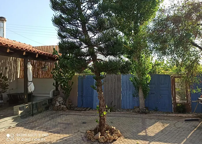 Cactus Home