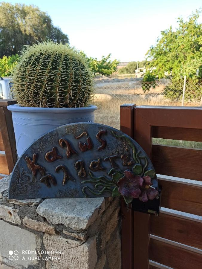 Cactus Kalamaki (Heraklion)