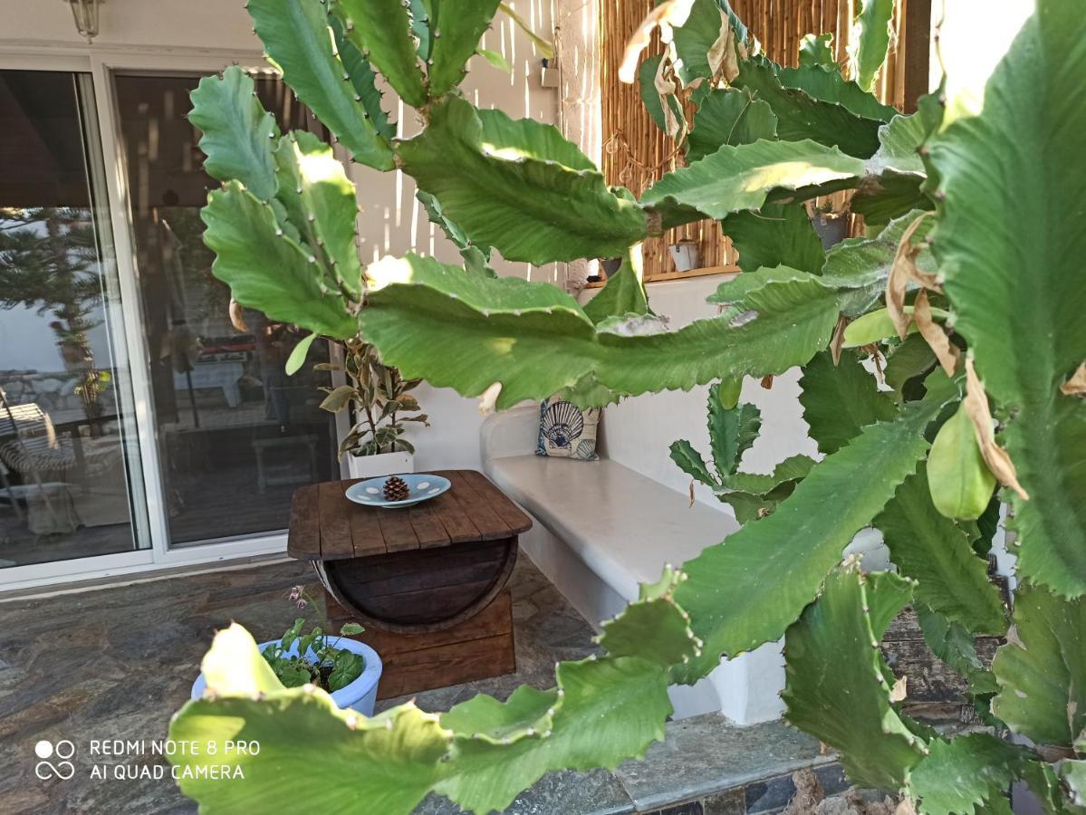 Holiday home Cactus